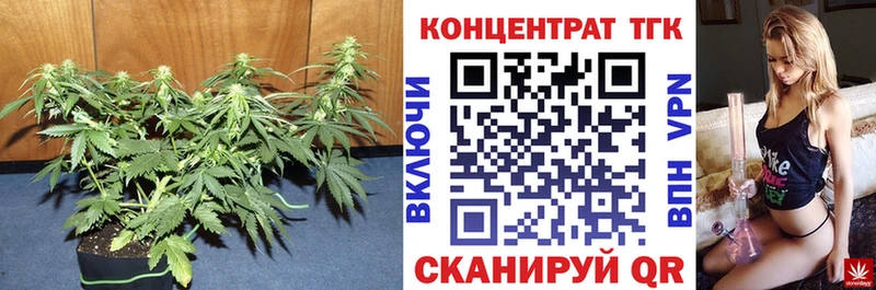 ТГК вейп с тгк  Енисейск 